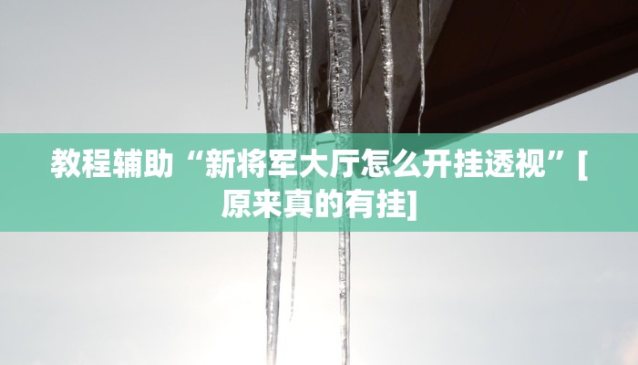 今日教程“大宝苏北麻将可以开挂吗”(详细开挂教程)