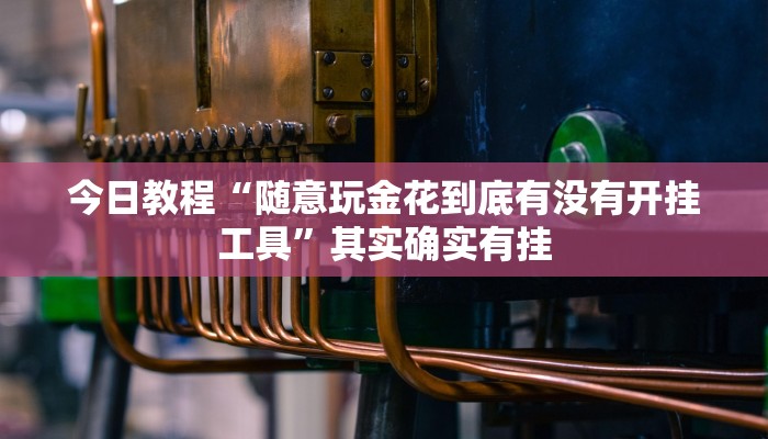 今日教程“新九天拼三张有没有挂”[原来真的有挂]
