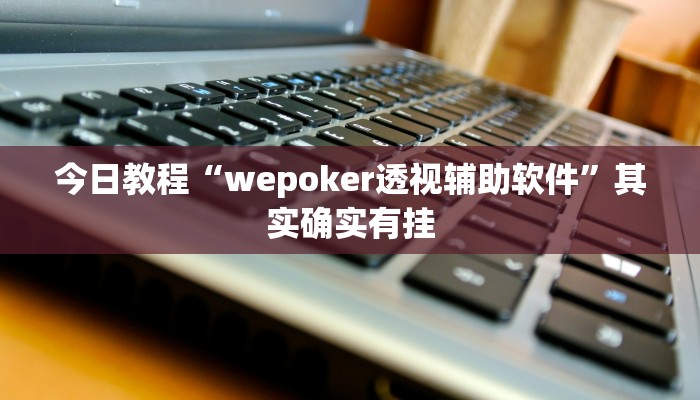 辅助神器“wepoker德州局辅助透视挂”其实确实有挂