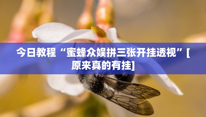辅助神器“超级三加一开挂辅助透视软件”(详细开挂教程)