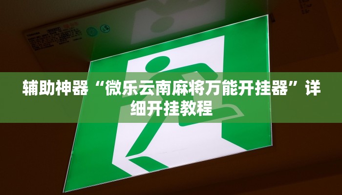 辅助神器“爱来掌中宝确实真的有挂”详细开挂教程