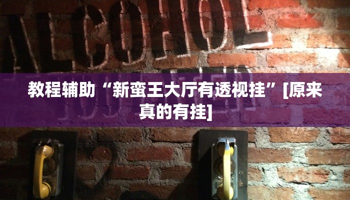 辅助神器“新人皇拼十有挂吗”[原来真的有挂]