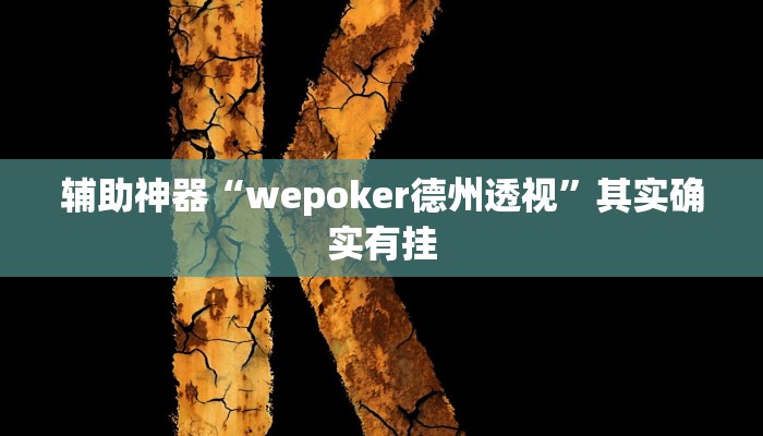 辅助神器“wepoker德州透视”其实确实有挂