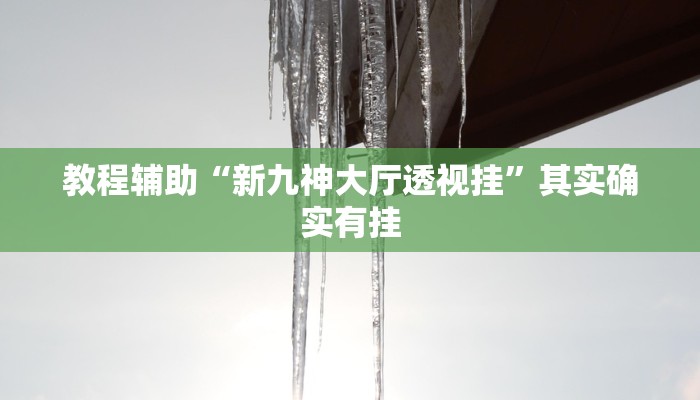 辅助神器“闲来广东麻将万能开挂器通用版”其实确实有挂