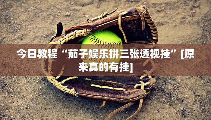 辅助神器“皇后大厅透视”(详细开挂教程)