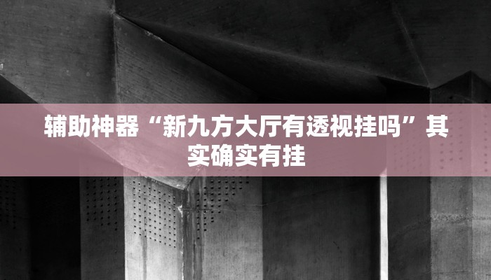 辅助神器“新九方大厅有透视挂吗”其实确实有挂