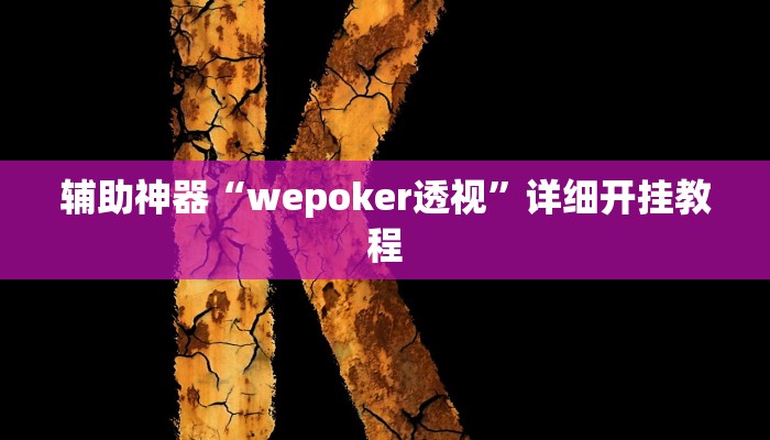 辅助神器“wepoker透视”详细开挂教程