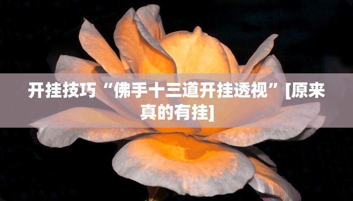 辅助神器“aapoker可以开挂透视吗”详细开挂教程