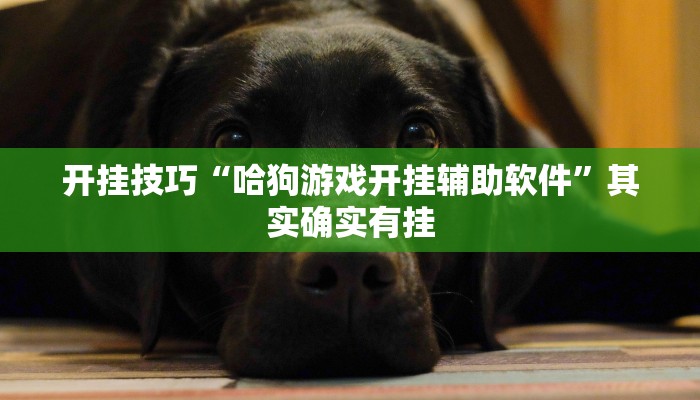 辅助神器“微乐湖南麻将怎么开挂”其实确实有挂