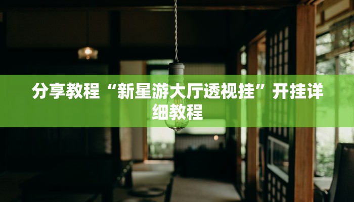 教程分享“盛世娱乐辅助器”2025透视开挂