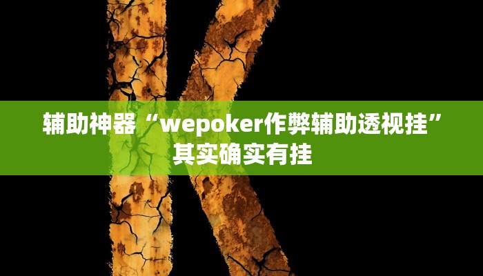 辅助神器“wepoker作弊辅助透视挂”其实确实有挂
