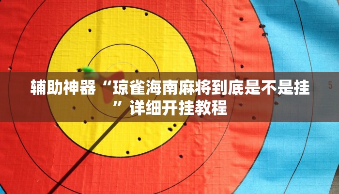 实操教程“同城游510k开挂辅助”(详细开挂教程)