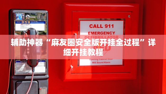 辅助神器“麻友圈安全版开挂全过程”详细开挂教程