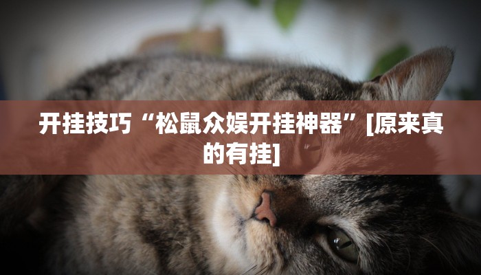 辅助神器“德州局WePoker开挂辅助作弊”其实确实有挂