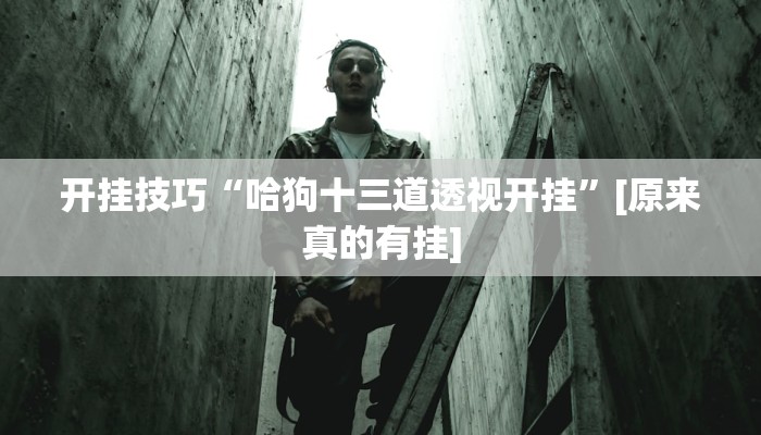 辅助神器“乐平讨赏真的确实有挂”详细开挂教程