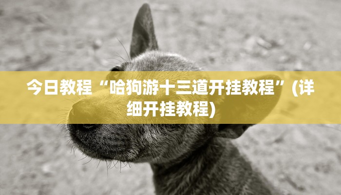 辅助神器“金花互娱有挂吗可以开挂吗”详细开挂教程