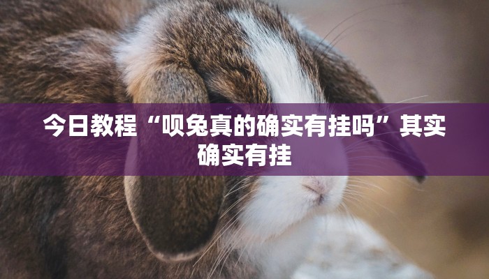 辅助神器“玄龙大厅透视辅助”[原来真的有挂]