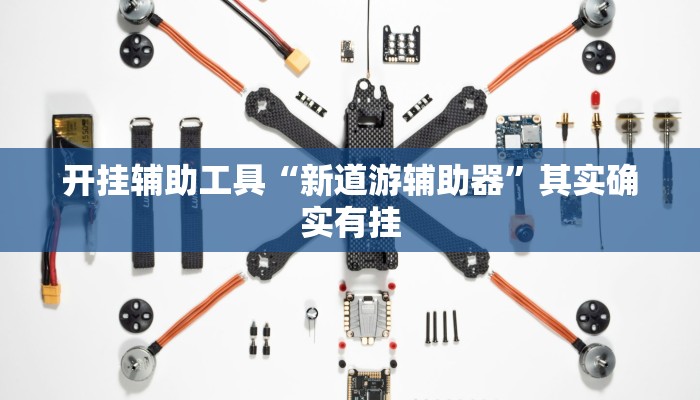 开挂辅助工具“新道游辅助器”其实确实有挂