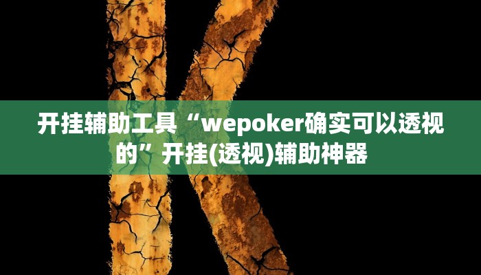 开挂辅助工具“wepoker确实可以透视的”开挂(透视)辅助神器