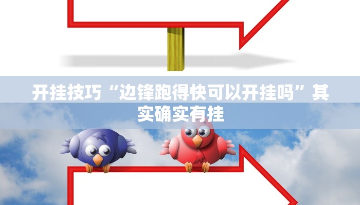 辅助神器“新漫游牛牛透视软件”其实确实有挂