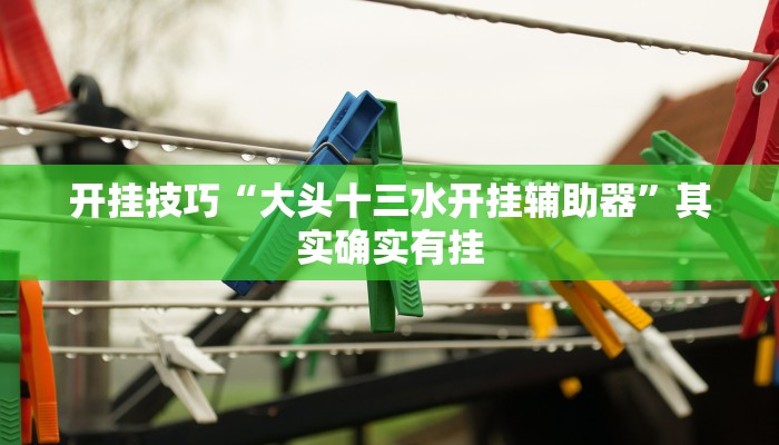 开挂技巧“大头十三水开挂辅助器”其实确实有挂