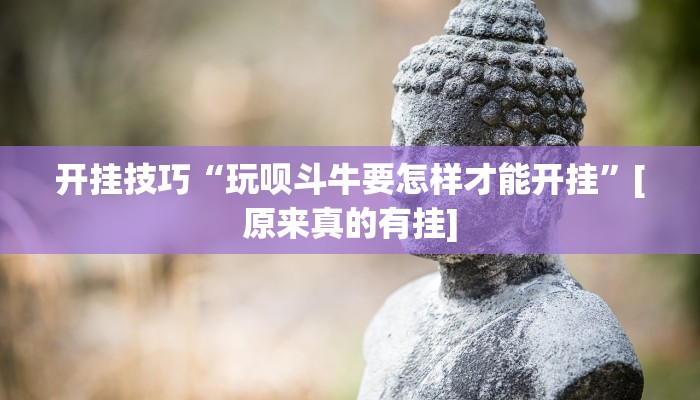 开挂技巧“玩呗斗牛要怎样才能开挂”[原来真的有挂]