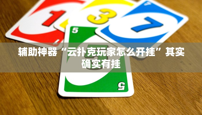 辅助神器“越乡游义乌麻将是不是有挂”(详细开挂教程)