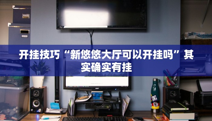 辅助神器“白金岛三打哈免费挂”详细开挂教程