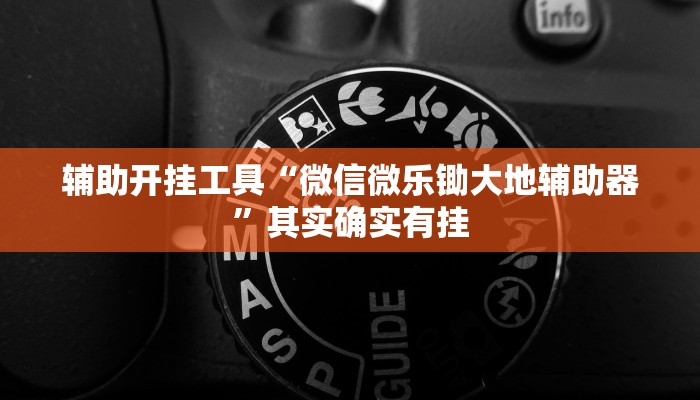 辅助开挂工具“微信微乐锄大地辅助器”其实确实有挂