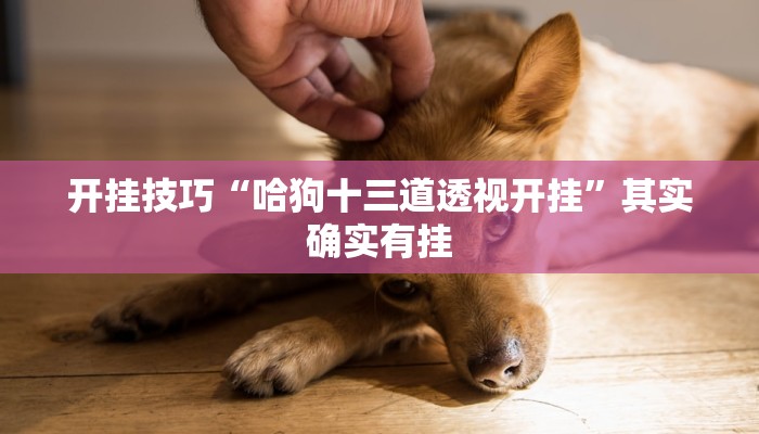 分享教程“经典联盟万能挂”其实确实有挂