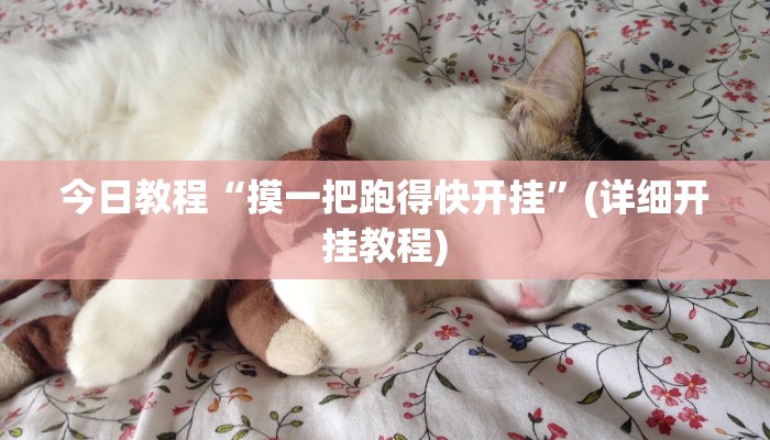 分享教程“多乐跑得快免费开挂神器”其实确实有挂