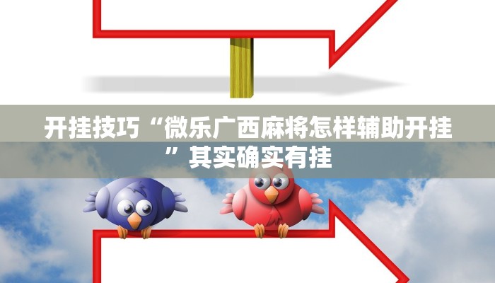 今日教程“今日长牌开挂辅助软件”(详细开挂教程)