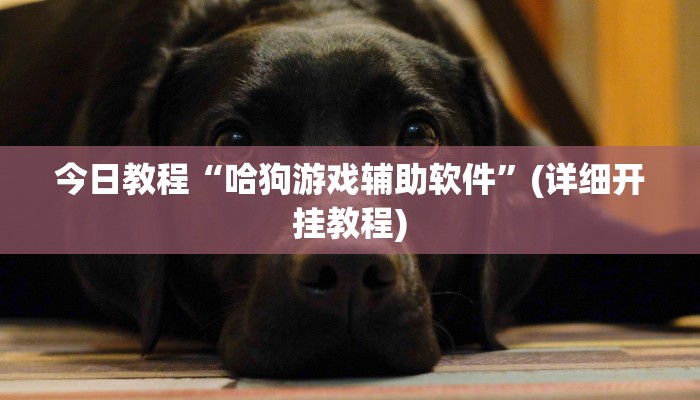 开挂辅助工具“浙江游戏大厅辅助器透视”开挂(透视)辅助教程