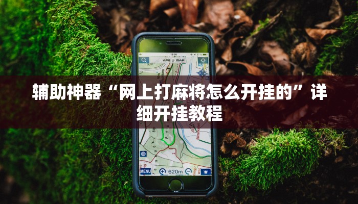 辅助神器“网上打麻将怎么开挂的”详细开挂教程