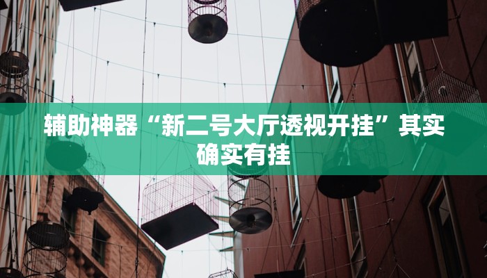 辅助神器“廉江麻将可以作弊吗”(详细开挂教程)