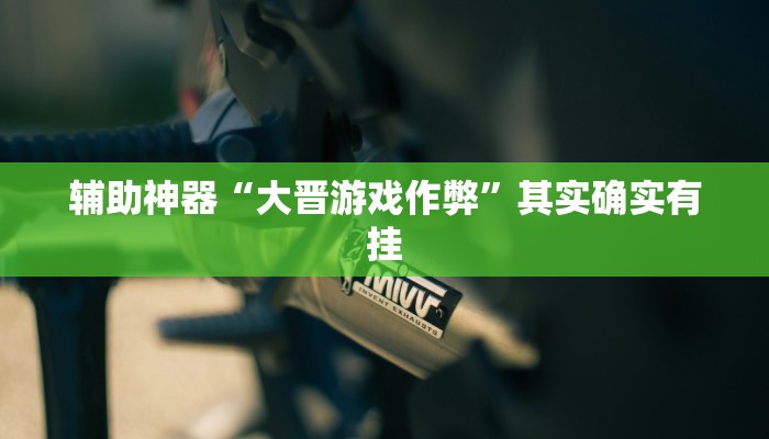 辅助神器“大晋游戏作弊”其实确实有挂