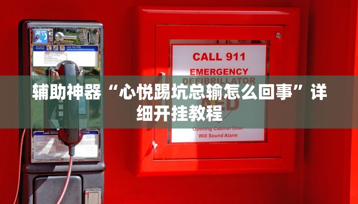 辅助神器“心悦踢坑总输怎么回事”详细开挂教程