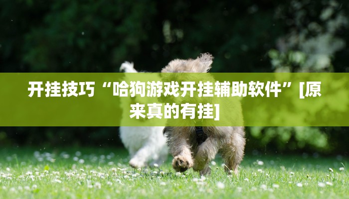 开挂辅助工具“卡米大厅透视挂”其实确实有挂