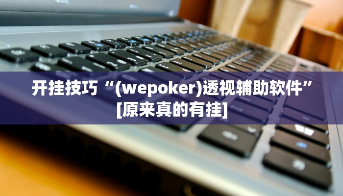 开挂技巧“(wepoker)透视辅助软件”[原来真的有挂]