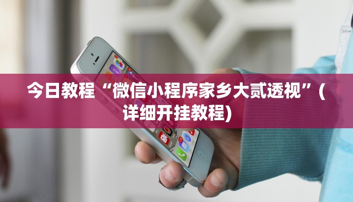 今日教程“微信小程序家乡大贰透视”(详细开挂教程)