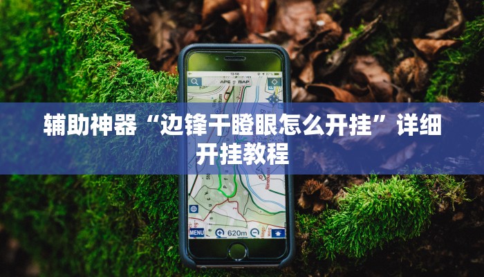 辅助神器“微乐广东麻将原来真的有挂”其实确实有挂