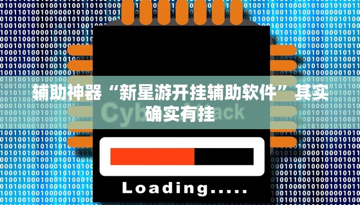 辅助神器“新星游开挂辅助软件”其实确实有挂