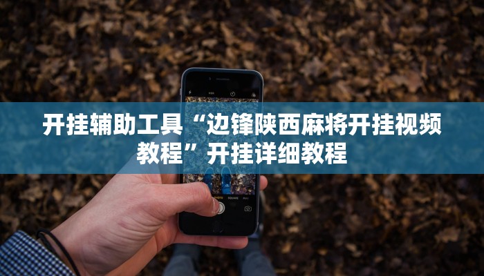 辅助神器“闲逸碰胡辅助神器”详细开挂教程