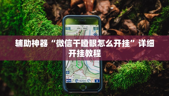 辅助神器“微信干瞪眼怎么开挂”详细开挂教程