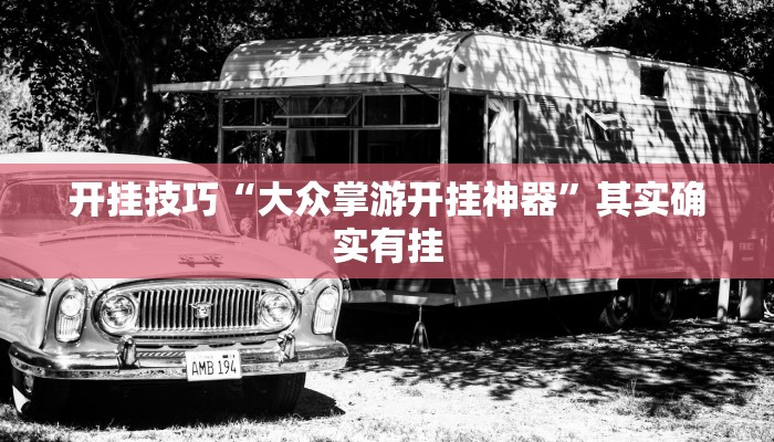 开挂技巧“大众掌游开挂神器”其实确实有挂