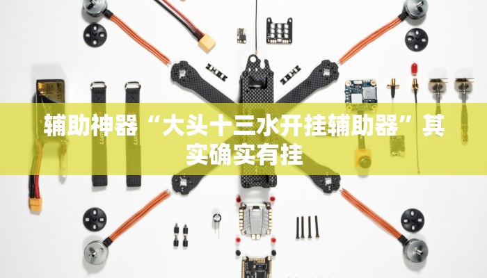 万能开挂辅助“蜜蜂众娱拼三张开挂透视”![果然有透视挂]