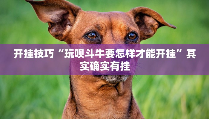 辅助神器“火神互娱到底有没有挂”详细开挂教程