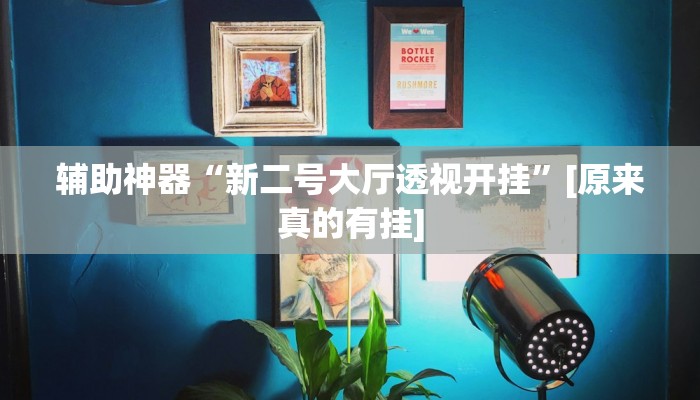 开挂辅助工具“海神众娱辅助器”(原来确实是有挂)