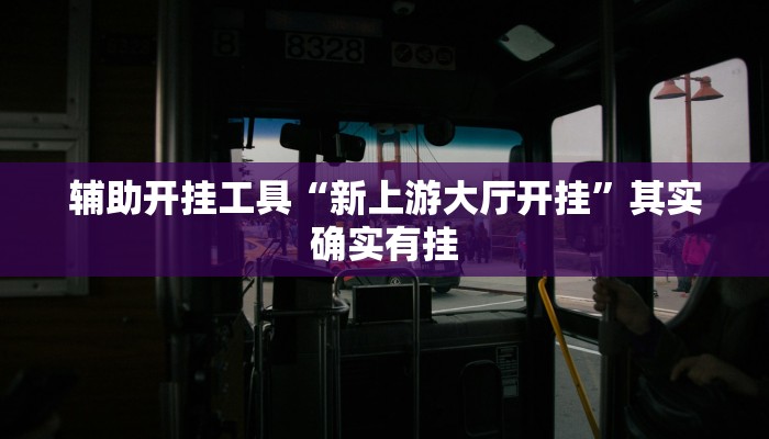 今日教程“新海贝之城拼三张开挂器”(详细开挂教程)