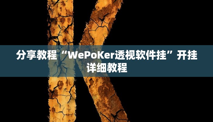 分享教程“WePoKer透视软件挂”开挂详细教程